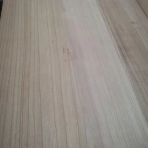 Paulownia-Vorstand